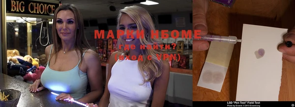 прущие грибы Ельня