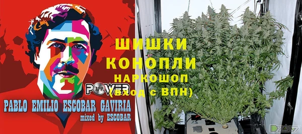 каннабис Дмитриев
