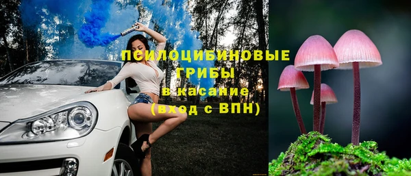 кристаллы Дмитров