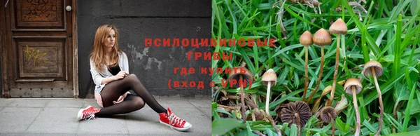 эйфоретик Дмитровск