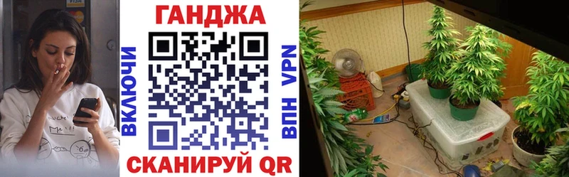 Марихуана гибрид  Купить закладки  Купино 